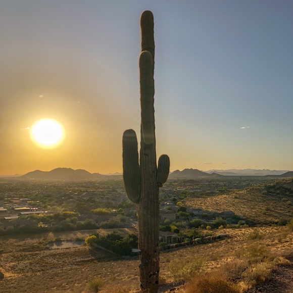 Meet your Posher, Danielle - Picture 3 of 4